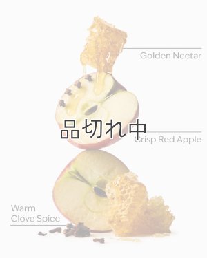 画像2: 【Bath&BodyWorks】フォーミングハンドソープ：リーブス