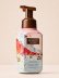 画像1: 【Bath&BodyWorks】フォーミングハンドソープ：ザパーフェクトオータム (1)
