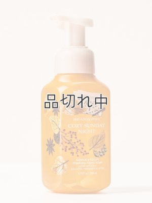 画像1: 【Bath&BodyWorks】フォーミングハンドソープ：コージーサンデーナイト