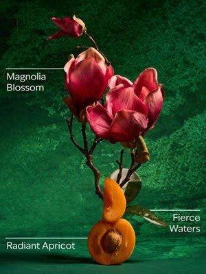 画像2: 【Bath&BodyWorks】《Disney Princessコラボ》ボディウォッシュ：Mulan (ムーラン)
