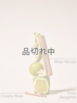 画像2: 【Bath&BodyWorks】ボディウォッシュ：Fresh Musk (フレッシュムスク)