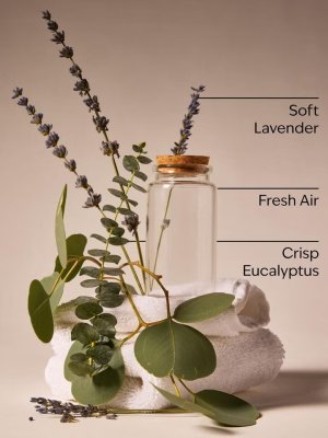 画像3: 【Bath&BodyWorks】Wallflowers詰替リフィル(2個入り)：ランドリーデイ