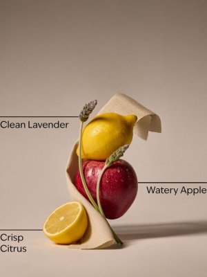 画像2: 【Bath&BodyWorks】Wallflowers詰替リフィル：フレッシュシーツ