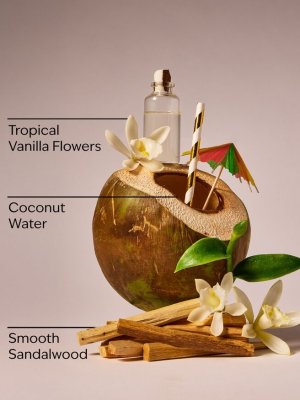 画像2: 【Bath&BodyWorks】Wallflowers詰替リフィル：パラダイスバニラ
