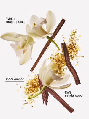 画像2: 【Bath&BodyWorks】Wallflowers詰替リフィル：ドリーミーアンバー