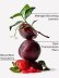 画像2: 【Bath&BodyWorks】Wallflowers詰替リフィル：Vampire Blood (ヴァンパイアブラッド) (2)