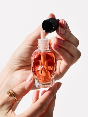 画像3: 【Bath&BodyWorks】Wallflowers詰替リフィル：Pumpkin Carving (パンプキンカービング)