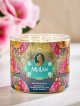 【Bath&BodyWorks】《Disney Princessコラボ》3-wickキャンドル（14.5oz）：Mulan (ムーラン)