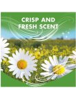 画像3: ●20％OFF●2490円→1992円【Arm&Hammer/アーム＆ハンマー】セントブースター(加香剤)24oz：クリーンメドウ