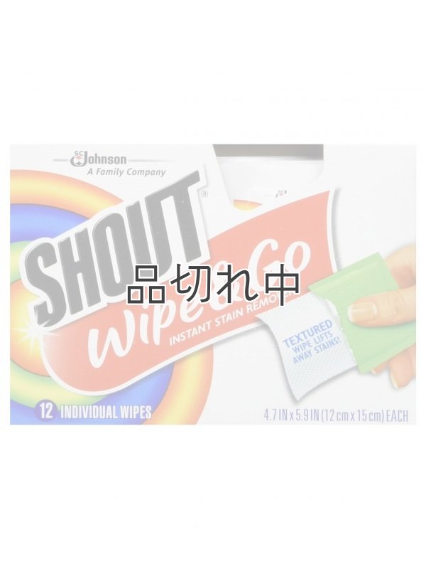画像1: 【Shout/シャウト】Wipe & Go (ワイプアンドゴー)携帯シミ抜きウェットティッシュタイプ：12個入り