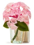 画像1: 【Bath&BodyWorks】Wallflowers本体：Pink Hydrangea (あじさい) ナイトライト