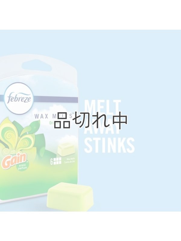 画像2: 【USファブリーズ】ワックスメルト(6ct)：ゲインオリジナル