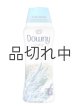 画像: 【Downy/ダウニー】セントブースター(加香剤)20.1oz：Light オーシャンミスト