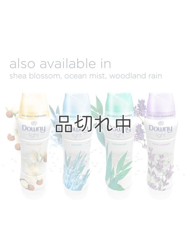 画像8: 【Downy/ダウニー】セントブースター(加香剤)18.2oz：Light オーシャンミスト