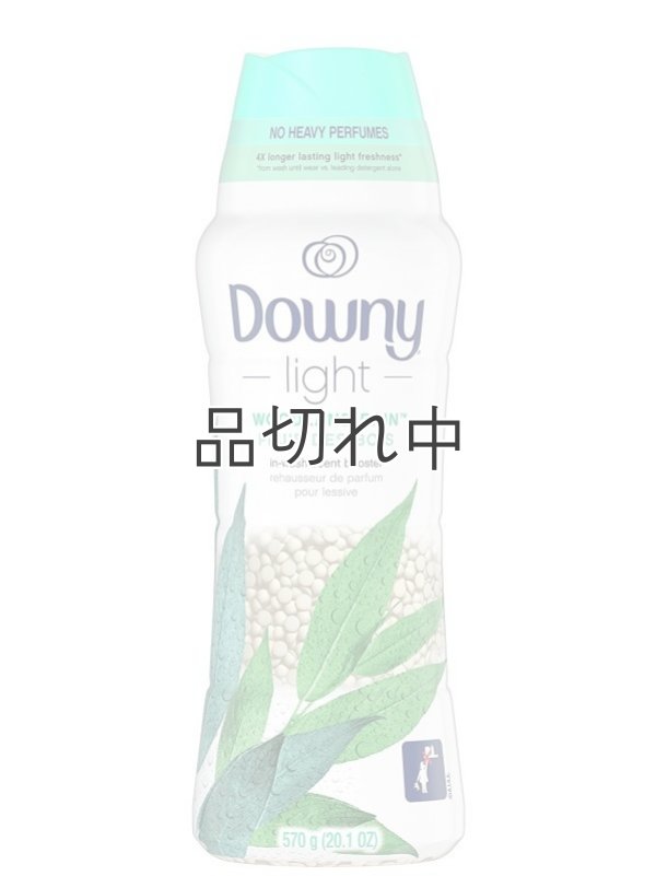 画像1: 【Downy/ダウニー】セントブースター(加香剤)20.1oz：Light ウッドランドレイン