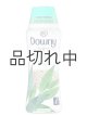 画像: 【Downy/ダウニー】セントブースター(加香剤)20.1oz：Light ウッドランドレイン