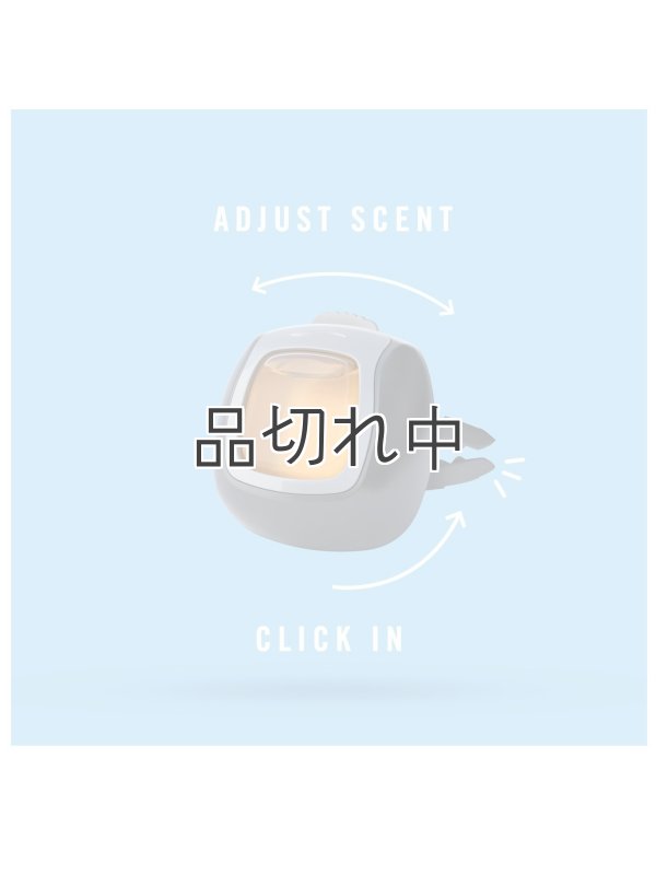 画像5: 【USファブリーズ】車用芳香剤(3個入り)：Gain ゲインオリジナル