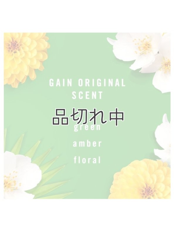 画像4: 【USファブリーズ】車用芳香剤(3個入り)：Gain ゲインオリジナル