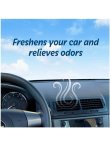 画像3: 【Refresh Your Car!】車用芳香剤 スティックタイプ(6本入り)：サマーブリーズ/アルパインメドウ