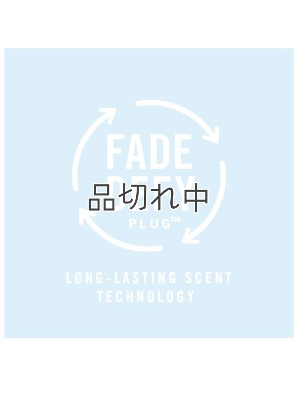 画像5: 【USファブリーズ】プラグインオイルリフィル(2セット入)：スイートピオニー