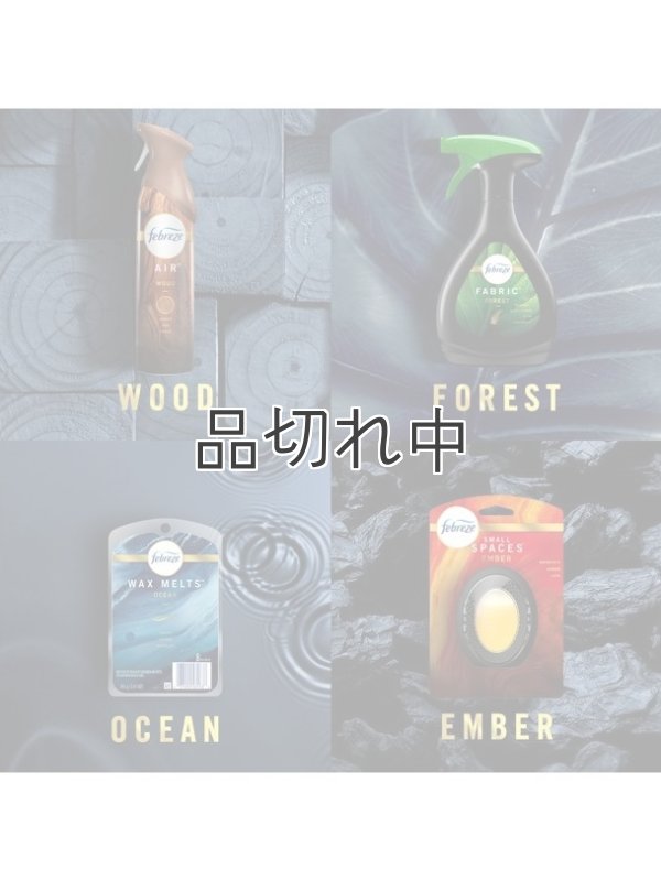 画像5: 【USファブリーズ】車用芳香剤(3個入り)：オーシャン