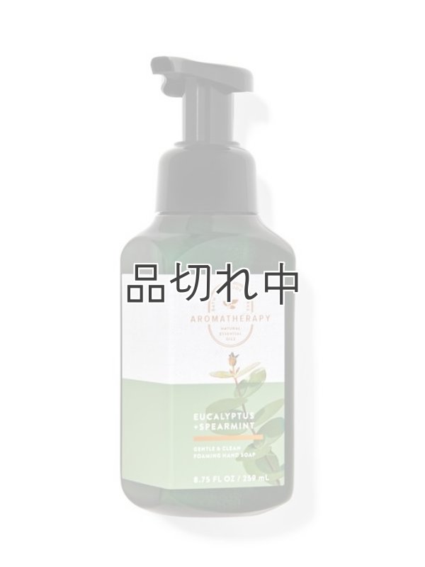 画像1: 【Bath&BodyWorks】フォーミングハンドソープ：ユーカリスペアミント