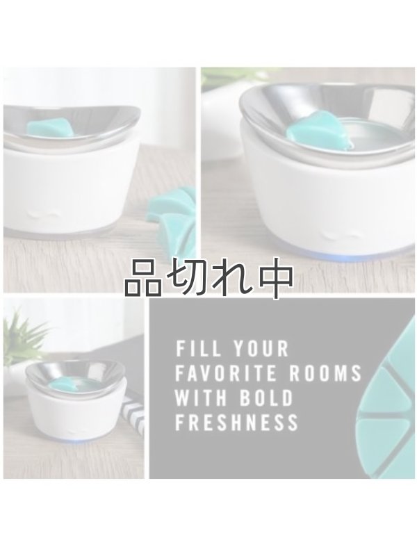 画像4: 【USファブリーズ】ワックスメルト(8個入り)：オーシャン