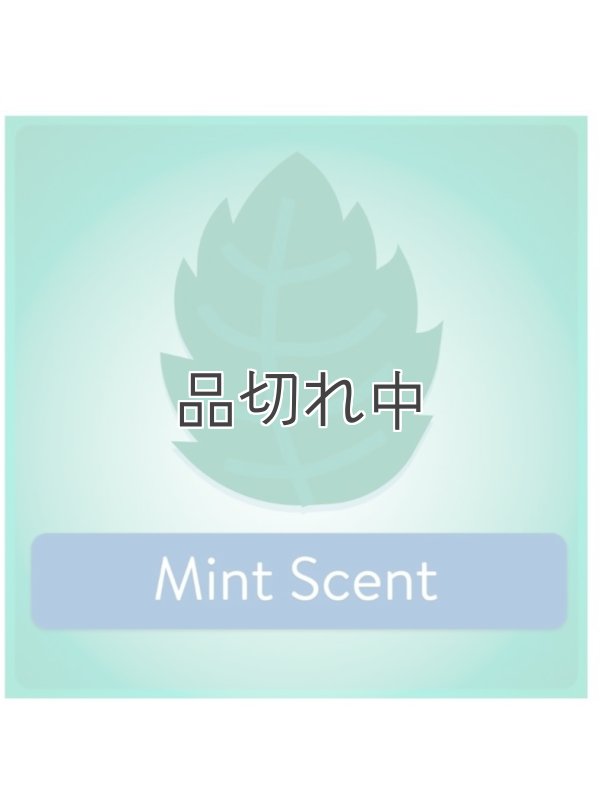 画像4: 【Great Value】香り付きゴミ袋★4ガロン(15L)×40枚：ユーカリミント