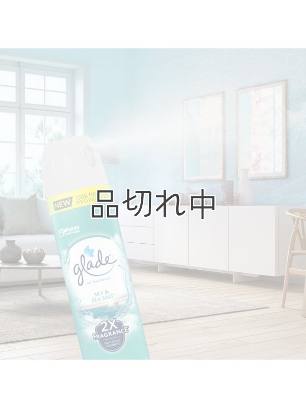画像6: 【glade】エアーフレッシュナー：スカイ＆シーソルト