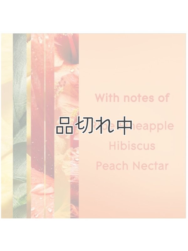 画像2: 【glade】エアーフレッシュナー：ハワイアンブリーズ