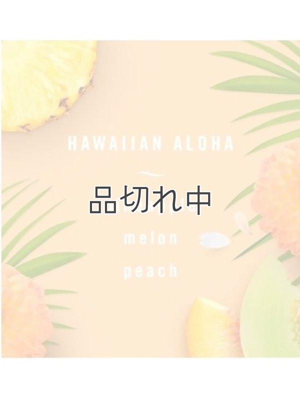 画像5: 【USファブリーズ】車用芳香剤(3個入り)：リネン＆スカイ/ゲインオリジナル/ハワイアンアロハ