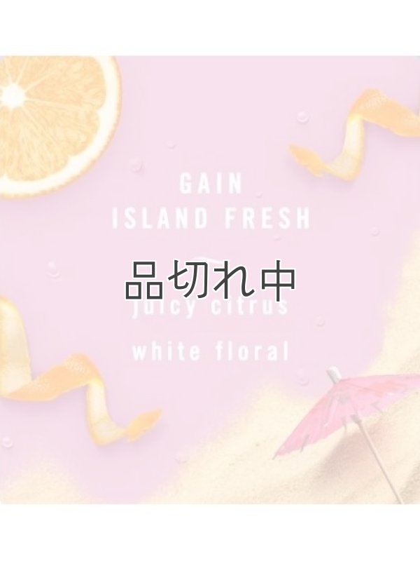 画像5: 【USファブリーズ】車用芳香剤(3個入り)：ゲインオリジナル/ゲインムーンライトブリーズ/ゲインアイランドフレッシュ