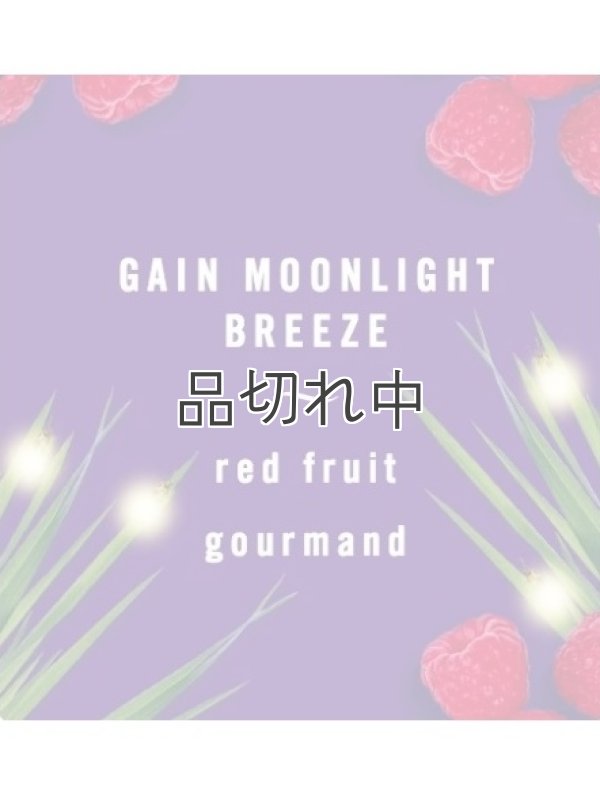 画像4: 【USファブリーズ】車用芳香剤(3個入り)：ゲインオリジナル/ゲインムーンライトブリーズ/ゲインアイランドフレッシュ