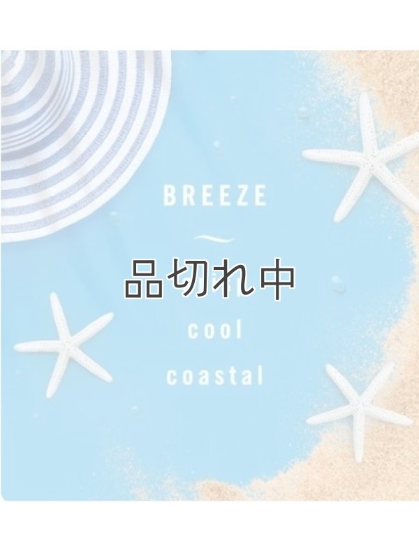 画像4: 【USファブリーズ】車用芳香剤(3個入り)：フレッシュ/パラダイス/ブリーズ