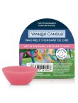 画像1: 【YANKEE CANDLE/ヤンキーキャンドル】ワックスメルト：Art in the Park