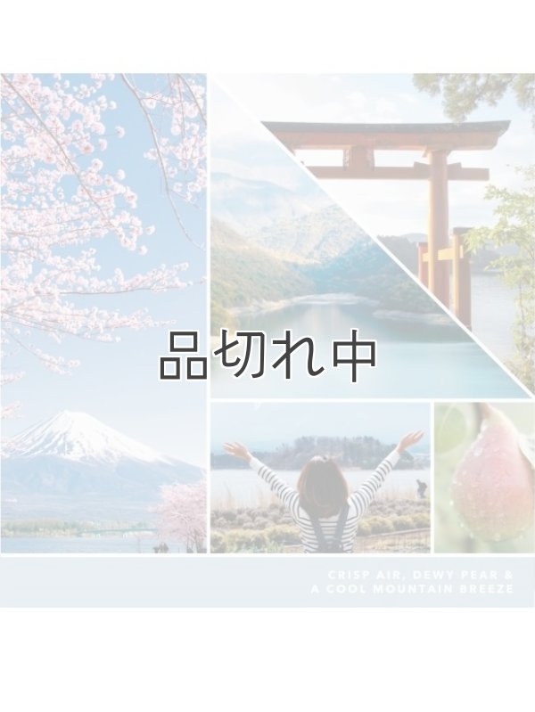 画像2: 【YANKEE CANDLE/ヤンキーキャンドル】ワックスメルト：マジェスティックマウントフジ