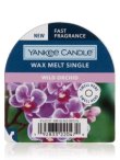 画像1: 【YANKEE CANDLE/ヤンキーキャンドル】ワックスメルト：ワイルドオーキッド