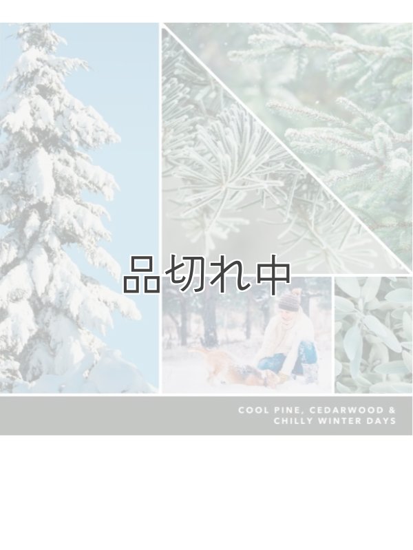 画像2: 【YANKEE CANDLE/ヤンキーキャンドル】ワックスメルト：シルバーセージ＆パイン