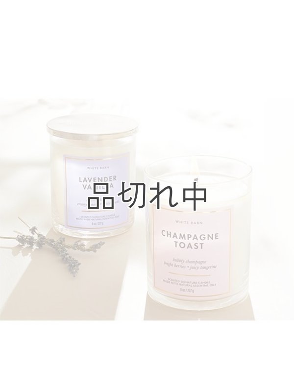 画像3: 【Bath&BodyWorks】シグネチャー1-wickキャンドル（8oz）：In the Stars