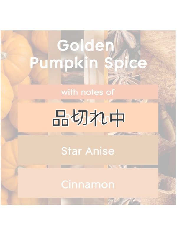 画像2: 【glade】プラグインオイルリフィル(2個入)：ゴールデンパンプキン＆スパイス