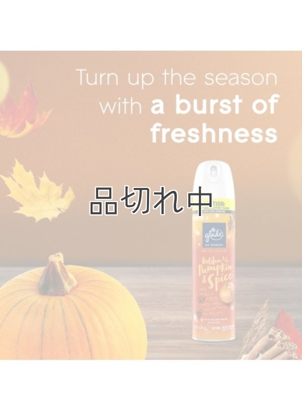 画像4: 【glade】エアーフレッシュナー：ゴールデンパンプキン＆スパイス