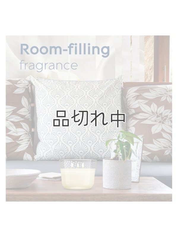 画像8: 【glade/グレード】3-wickキャンドル（6.8oz）：シアーバニラエンブレース