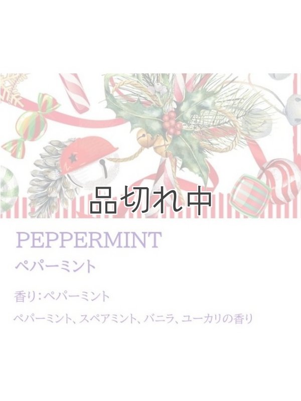 画像2: ◆50％OFF◆クリアランスセール5280円→2640円【ミッシェルデザインワークス】ルームフレグランスディフューザー：ペパーミント