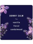 画像3: 【USファブリーズ】プラグインオイルリフィル(2セット入)：Downy CALM ラベンダー＆バニラビーン