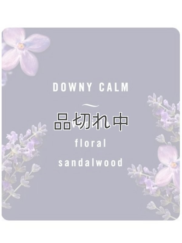 画像2: 【USファブリーズ】車用芳香剤(2個入り)：Downy CALM ラベンダー＆バニラビーン