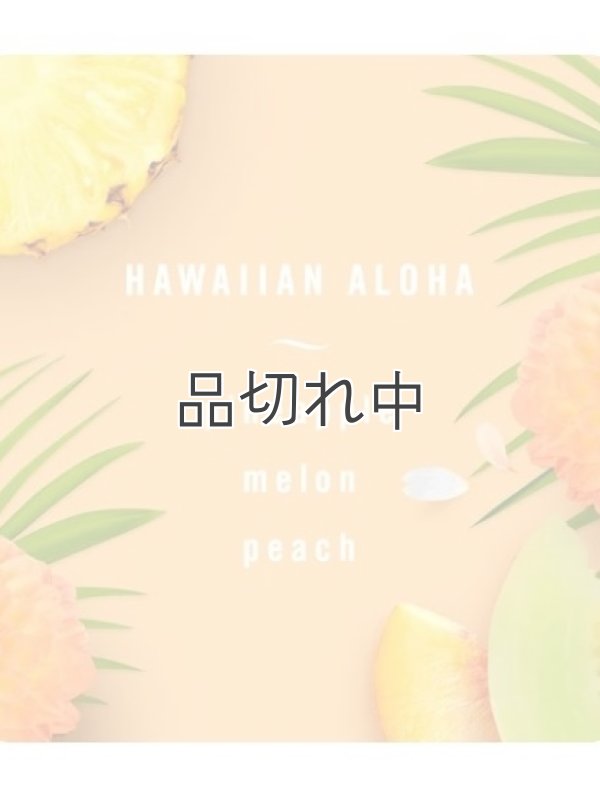 画像4: 【USファブリーズ】車用芳香剤(2個入り)：ハワイアンアロハ