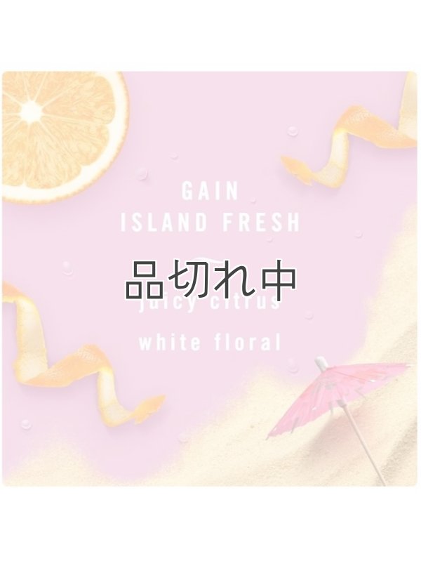 画像2: 【USファブリーズ】車用芳香剤(2個入り)：GAIN ゲインアイランドフレッシュ