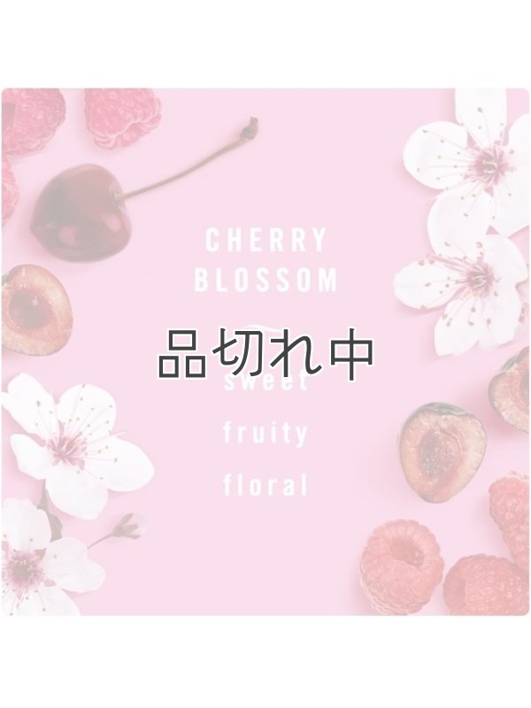 画像2: 【USファブリーズ】車用芳香剤(2個入り)：チェリーブロッサム