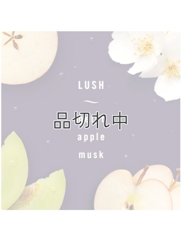 画像3: 【USファブリーズ】車用芳香剤(2個入り)：LUSH(ラッシュ)