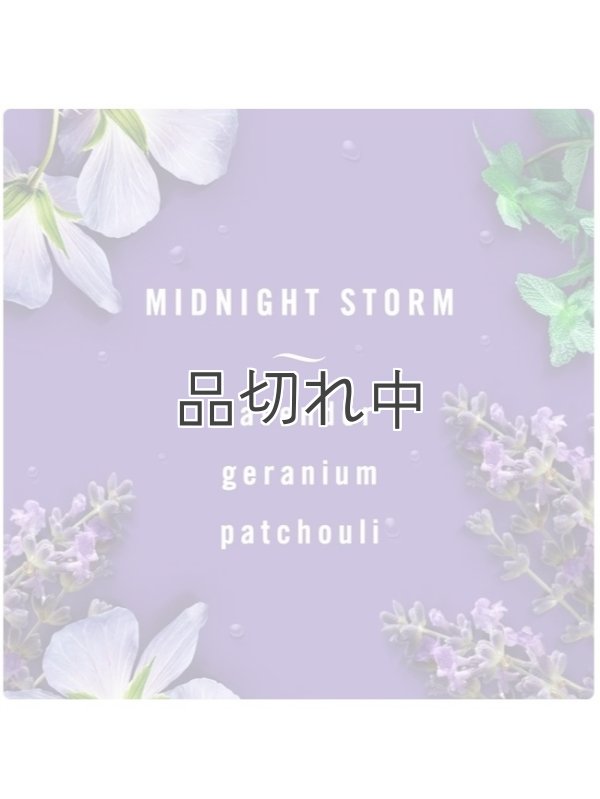 画像3: 【USファブリーズ】車用芳香剤(2個入り)：ミッドナイトストーム